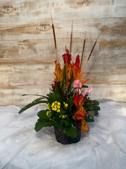 Harvest Blooming Basket