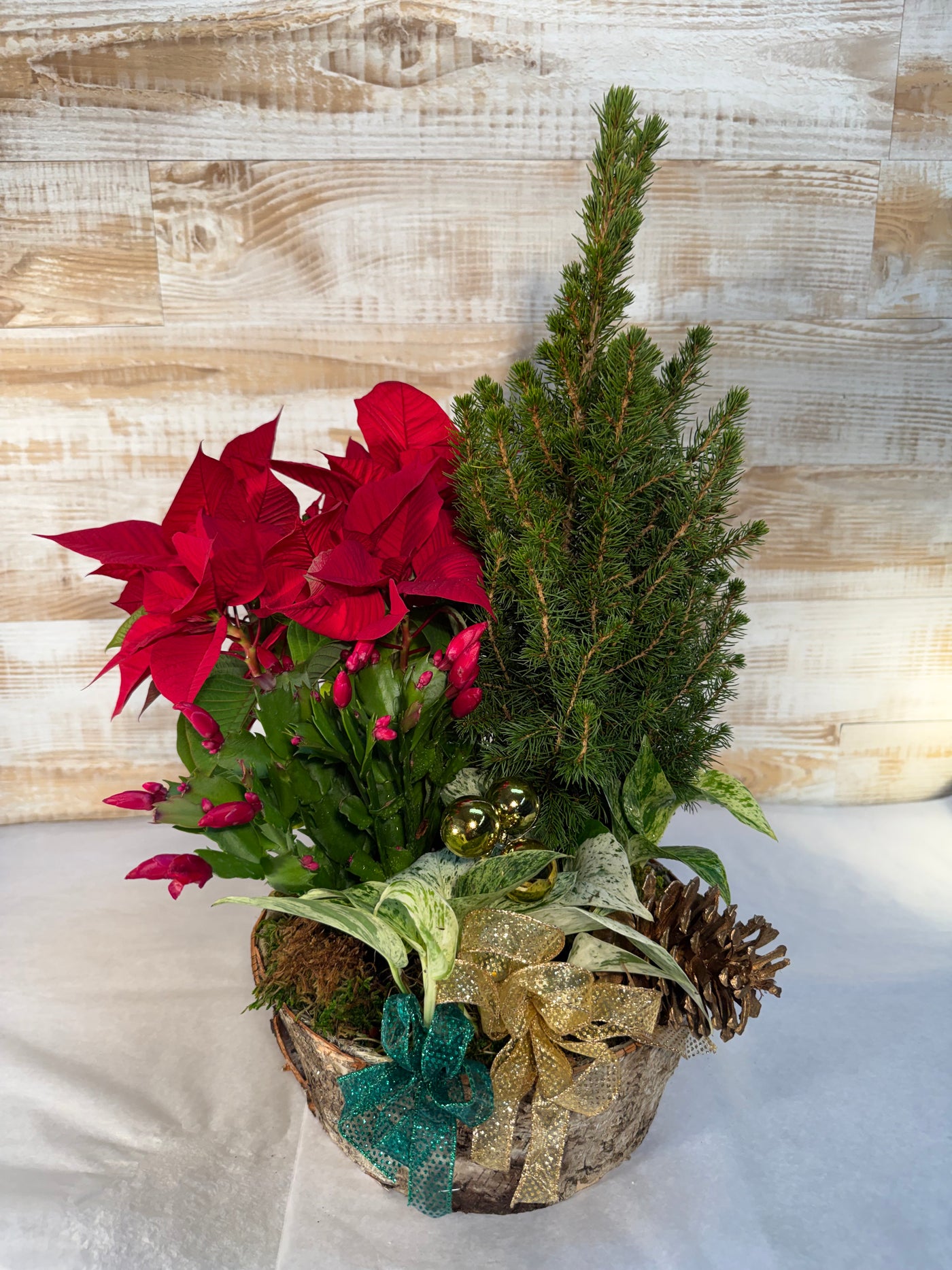 Holiday European Blooming Basket