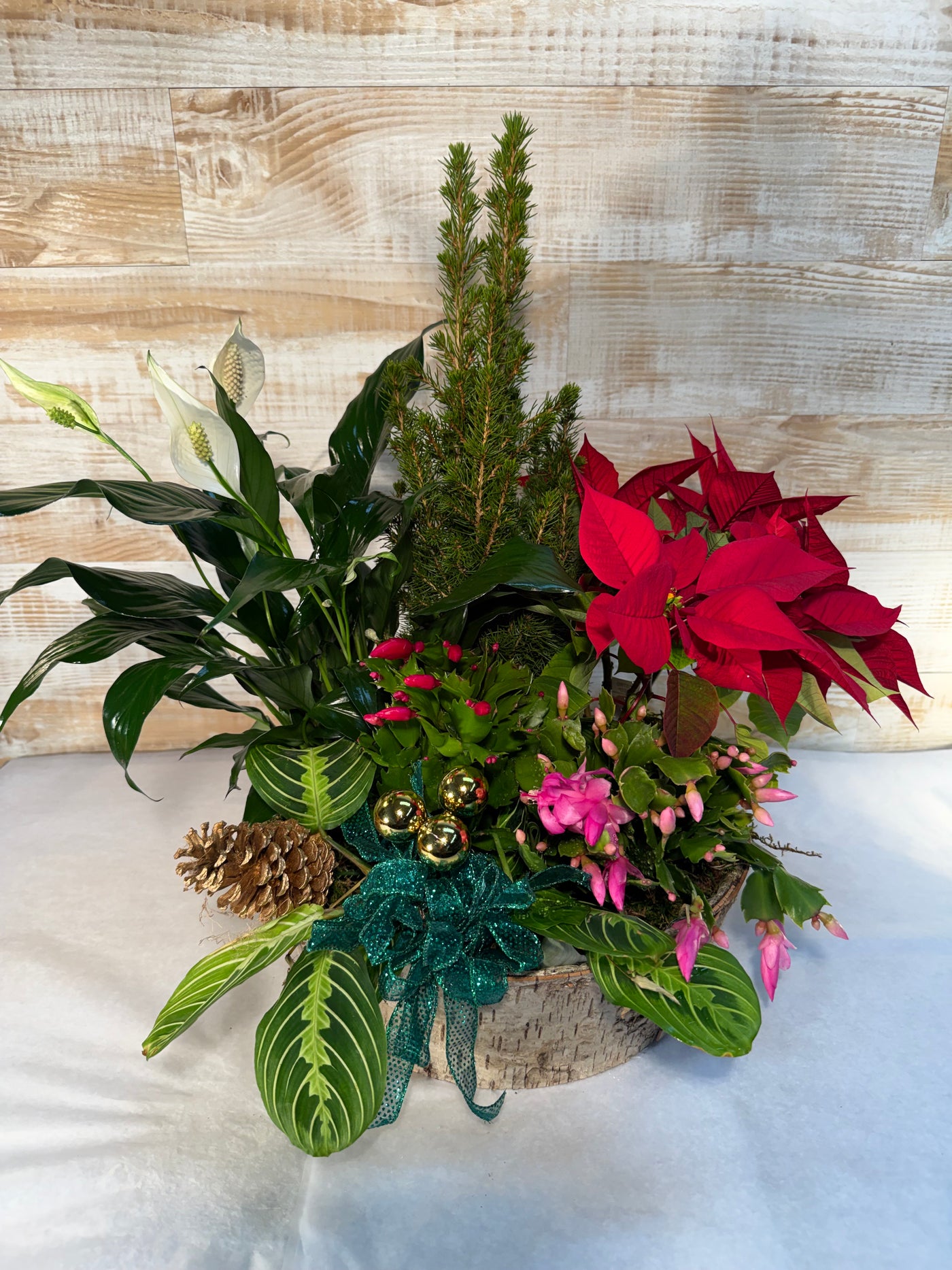 Holiday European Blooming Basket