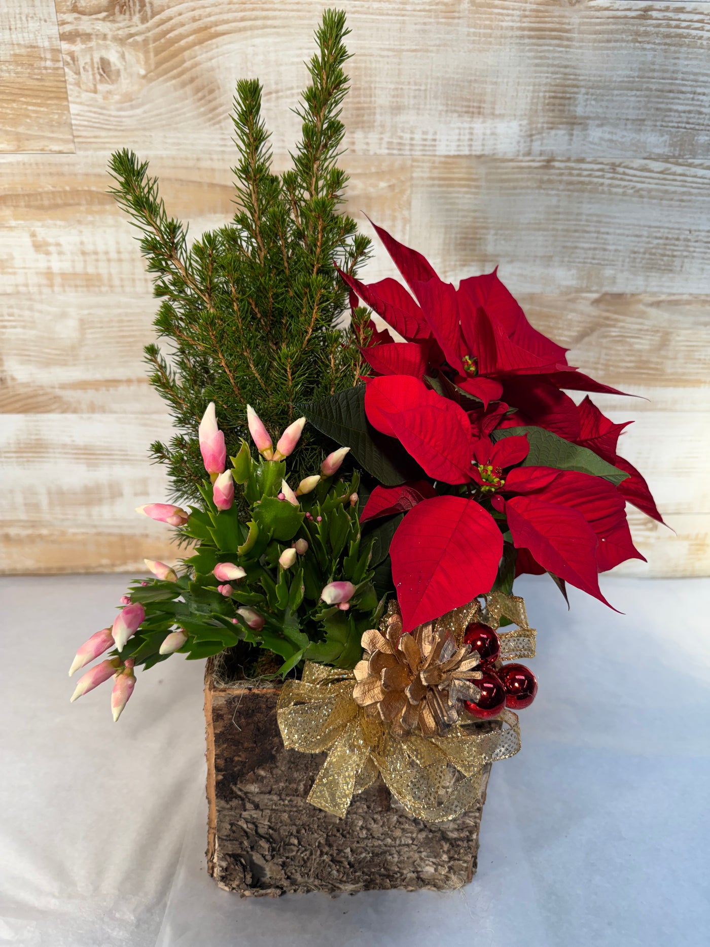Christmas Blooming and Green Plant Basket