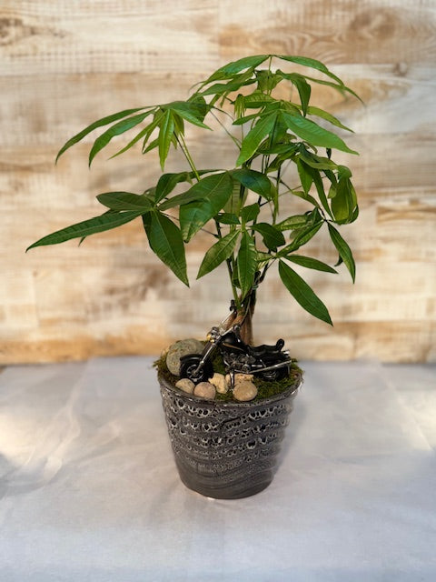 Mexican Fortune Tree w/ Motorcycle pick