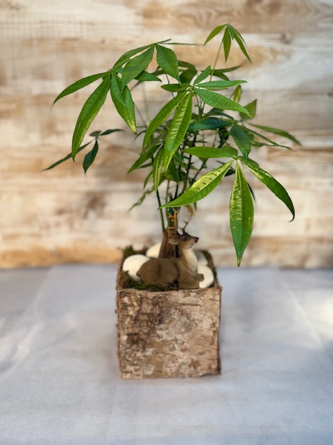 Mexican Fortune Tree w/ Deer Pick