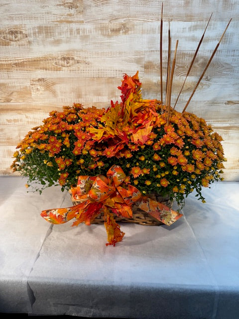 Double Mum Planter