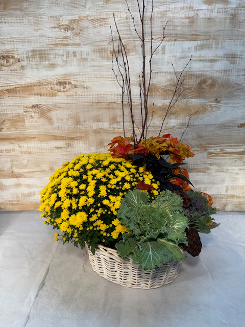 A Touch of Fall